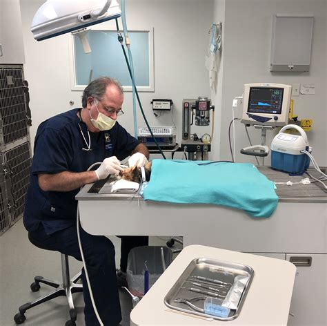 Smithfield animal hospital - We recommend a yearly physical examination to ensure your pet's continued health. As part of your pet's care... Skip To Content Hours & Contact Monday - Thursday: 8:00 am - 5:00 pm; Friday: 8:00 am - 4:00 pm; Saturday & Sunday: CLOSED ... ©2024 Smithfield Animal Hospital. Resource Articles ©2024 GeniusVets.
